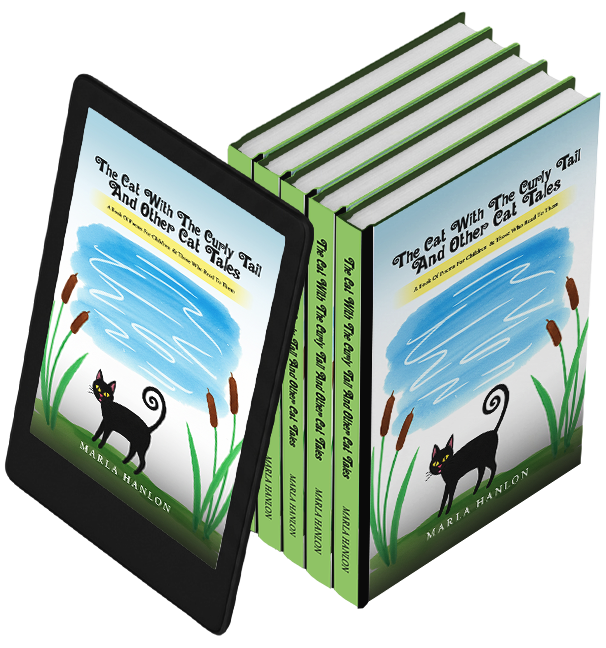 Spark Leaf Publishing